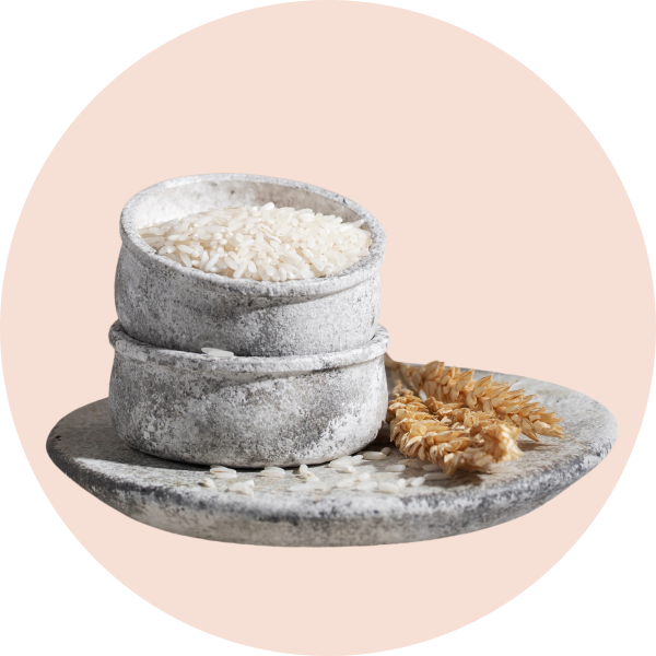 Who said white products (rice) are better than wheat products?